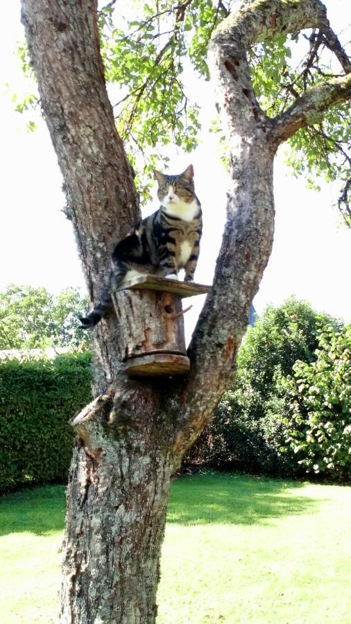 La Vallee Verte Grandchamp  Dış mekan fotoğraf
